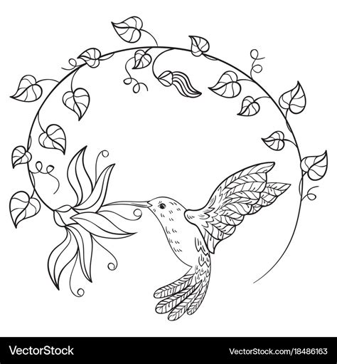 Hummingbird drinking nectar from a flower Vector Image