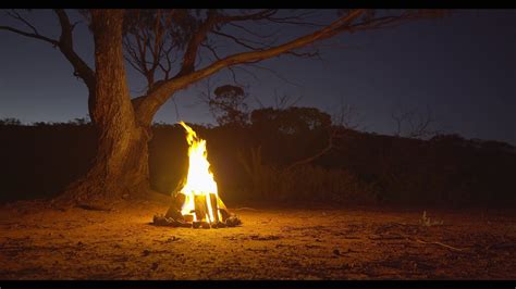 4k Campfire at Night | Australian Outback | 1 Hour - YouTube