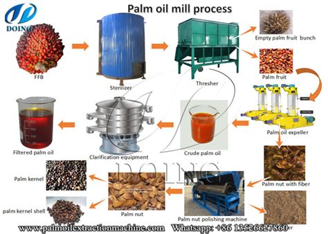 What are the steps in palm oil production?_Palm Oil Extraction FAQ how to produce palm oil