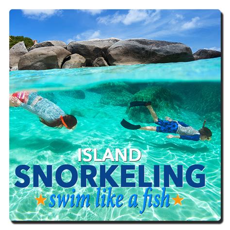 Snorkeling in Key West | Coral Reef Snorkeling | Key West Tour