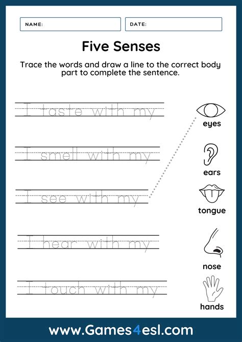 5 Senses Worksheet For Grade 1