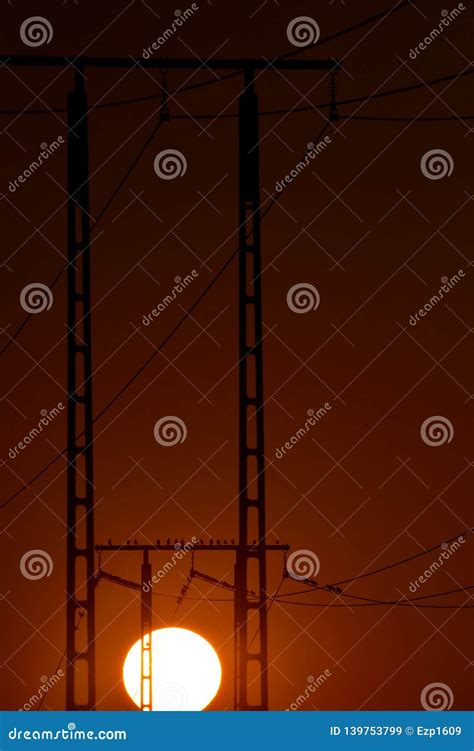 Starlings Electric Poles and Sunset Stock Image - Image of orange ...