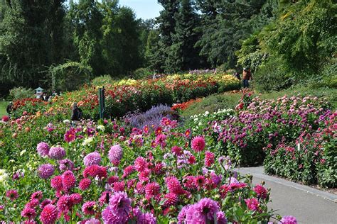 Mainau Insel