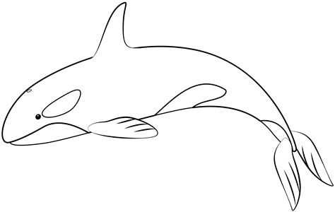 Killer Whale Printable Template | Free Printable Papercraft Templates