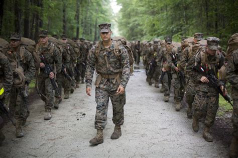 Marines will now wear woodland green camouflage uniforms all year