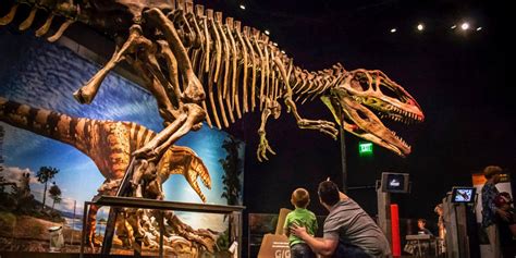 PEROT MUSEUM OF NATURE AND SCIENCE OPENS DAILY THIS SUMMER - cravedfw