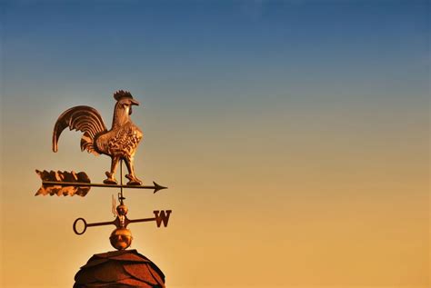 Rooftop Weathervane for Added Exterior Decor | Photo Remodeling Analysis