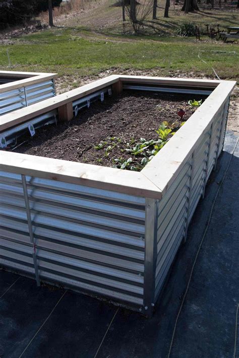 Galvanized Steel Raised Beds | Building a raised garden, Vegetable ...