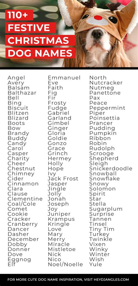 110+ Christmas-Themed Dog Names (+ Cute Festive Dog Toys!) - Hey, Djangles.