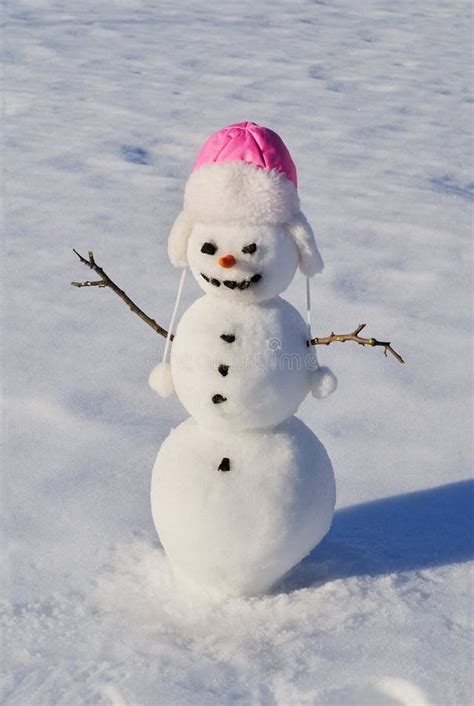 Snowman with carrot nose stock photo. Image of happy - 172948634