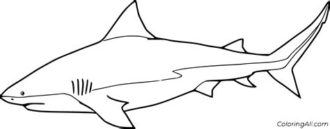 Bull Shark Coloring Pages (3 Free Printables) - ColoringAll