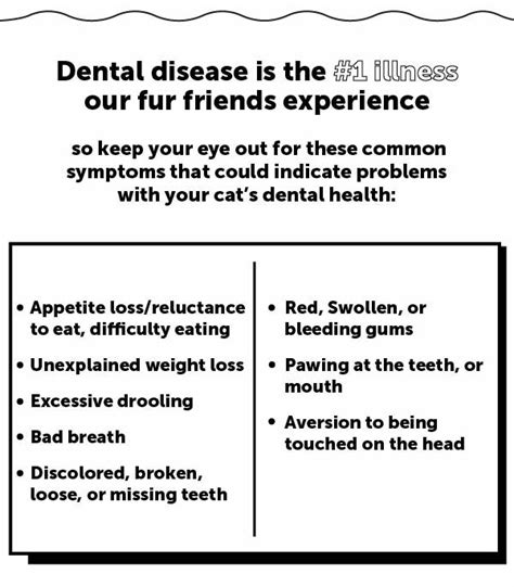 🦷 Keep your dog’s teeth healthy! - Pet Honesty