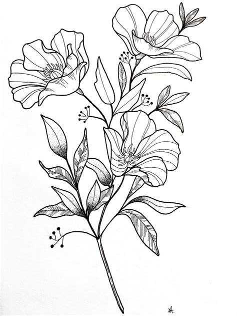 Pin by Ani.arts on tattoo and ink | Flower drawing, Flower line ...