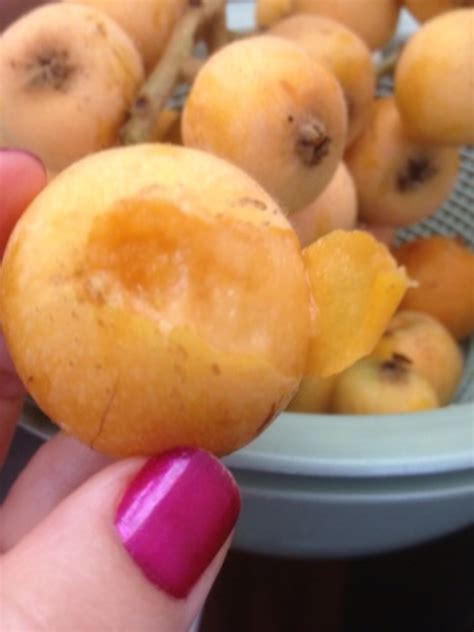 Benefits of Eating Loquat Fruits | Dengarden