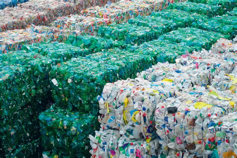 Plastics Recycling Conference 2024 Logo Maker - Betsey Orelle