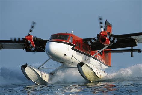 Which Aircraft Did De Havilland Canada Name After Animals?