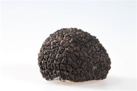 Premium Photo | Black truffles isolated on white.