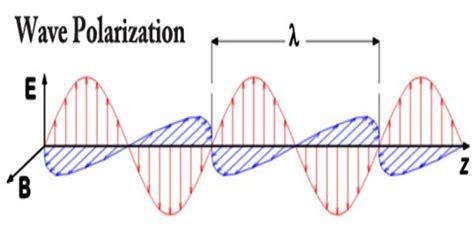 Wave Polarization - Assignment Point