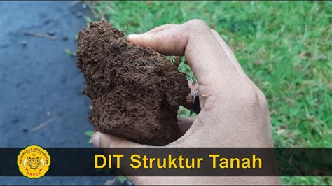 Praktikum DIT Struktur Tanah - YouTube