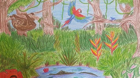 Rainforest drawing | Student art, Drawings, Art projects