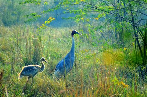 Salim Ali National Park, Srinagar, Jammu and Kashmir, Tourism, 2021 ...