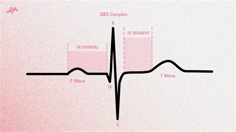 The Cardiac Cycle on an EKG (P-QRS-T Waves) - YouTube