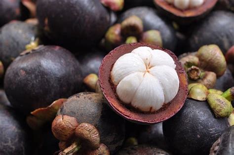 Does Purple Mangosteen Really Help in Weight Loss? | Nutrition Point