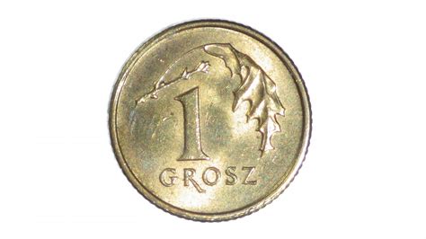 Polish One Grosz Coin Head Free Stock Photo - Public Domain Pictures