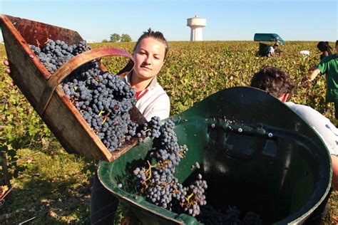 Exports of French Wine and Spirits Drop Sharply - WSJ