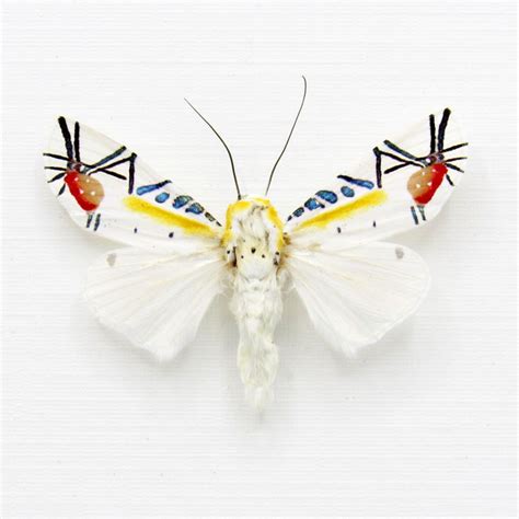 a white and yellow moth with black stripes on its wings, sitting on a ...