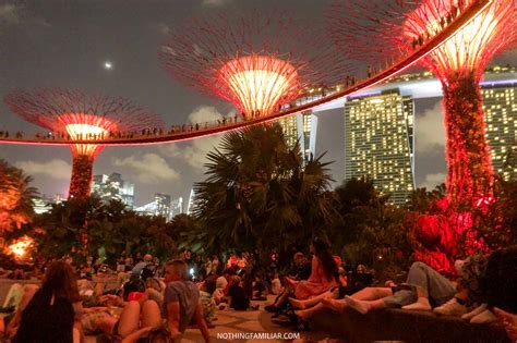 How to See the Gardens by the Bay Light Show (Read This First!)