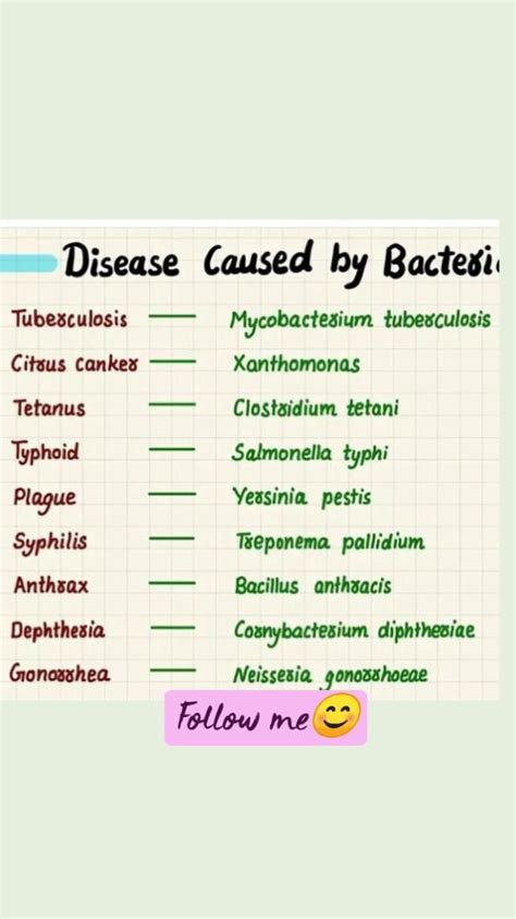 Diseases caused by bacteria – Artofit