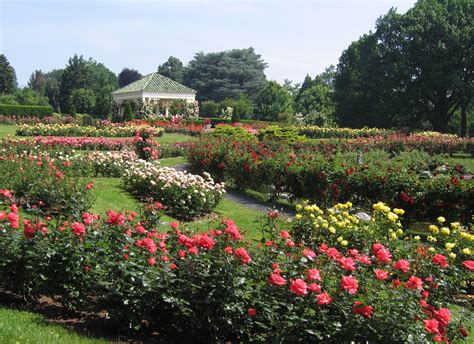 Hershey Gardens Turns 75 | Garden Housecalls