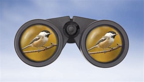 The 14 Best Birding Binoculars 🦅 [2021 Reviews] | Outside Pursuits