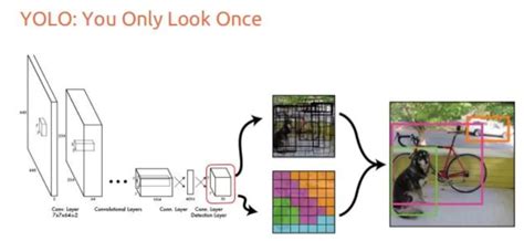 Evolution of YOLO Object Detection Model From V5 to V8