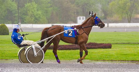 Enjoy the 78th Season of Harness Racing at the Saratoga Casino Hotel