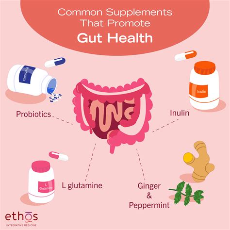 Best Supplements for Gut Health