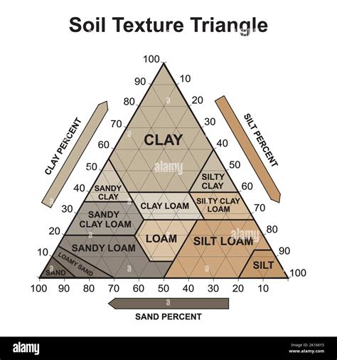 Soil Texture Triangle. Biological Earth Structure. Soil Chart Percent Category. Vector ...