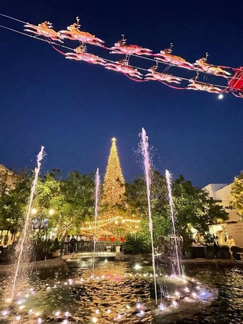 Where To Get A Real Christmas Tree In L.A. (Copy) - Secret Los Angeles