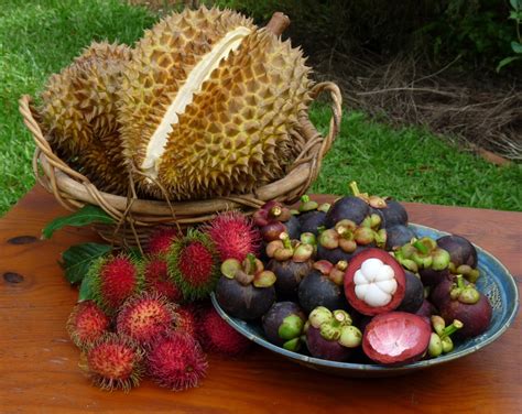 Amazing Benefits of Mangosteen for Beauty and Health