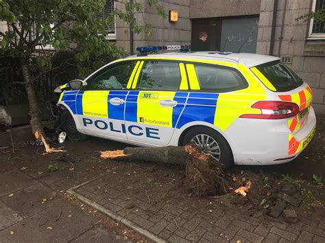 Video: Police car crashes through tree and into wall on Aberdeen street ...