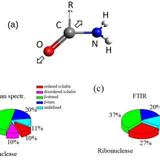 (a) Sketch of the Amide I functional group. "R" represents a not... | Download Scientific Diagram