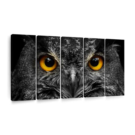 Yellow Eyed Owl Wall Art | Photography