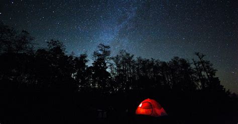 Big Cypress Becomes First U.S. National Preserve To Earn Dark Sky Park ...