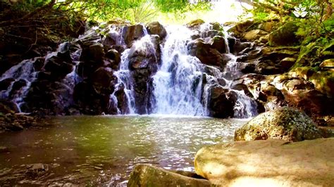 Cascading Waterfall Sounds (no music). (4k) 10 hours Nature Noise for Sleep and Relaxation ...