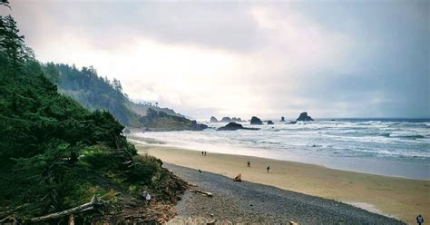 Hiking In Cannon Beach, OR | Trails, Wildlife & State Parks