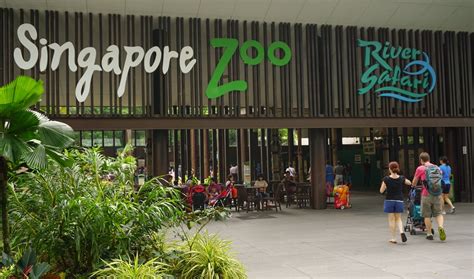 Singapore Zoo Activities That You Must Plan With Your Kids