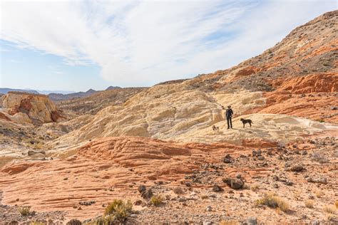 Why You Need to Visit Gold Butte National Monument » The Modern Female Hiker