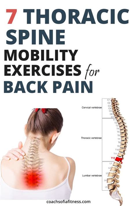 7 Thoracic Spine Mobility Exercises For Back Pain - Bút Chì Xanh