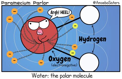 Our water molecule comic is directly from our properties of water video! https://youtu.be ...